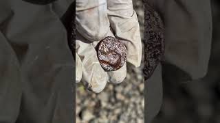Cracking Thames Find-Part 2