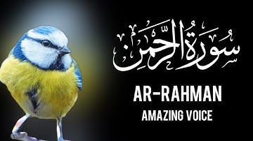 Surah Ar-Rahman | سورة الرحمن – The Divine Symphony of Mercy /Amazing Voice