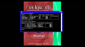 SRCB BSIT DBMS2: SQL HAVING
