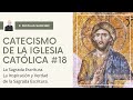 ¿Tiene algo de humano la Biblia? ¿En qué sentido es Palabra de Dios? ¿Se equivoca en algo la Biblia?