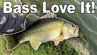 covers for fishing hooks Owner Treble Hook Safety Caps Retrieve:Right Hand Counterbalance Handle Millionaire-S The hollow design of Goture Telescopic Tenkara Fishing