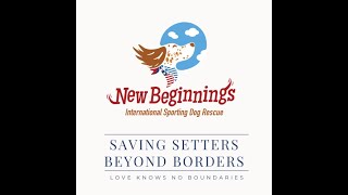 New Beginnings - Saving Setters Beyond Borders