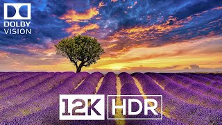 Real Clarity 12K HDR Dolby Vision Demo (60 FPS)