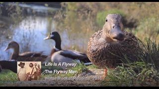 Life Is a Flyway Music Video