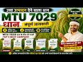 2026 क ध न क ट प 5 क स म Best Paddy Variety Paddy Top 5 Variety Dhan Ki Top 5 Variety 