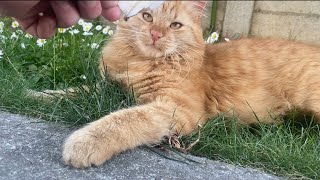 Effort Minimal, Style Maximal