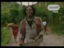 Romancing The Stone  -  Eddy Grant  (HQ Audio)