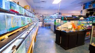 Fish, Fish, Fish is a local fish and aquarium retail outlet featuring an abundance of marine life and an established clientele.