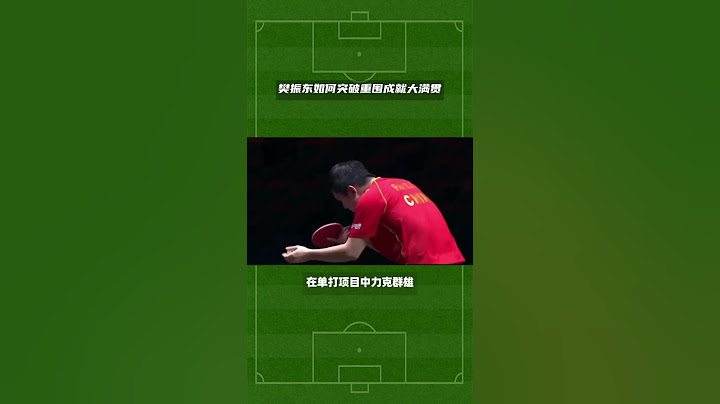 巴黎奥运男乒荣耀加冕，樊振东如何突破重围成就大满贯？