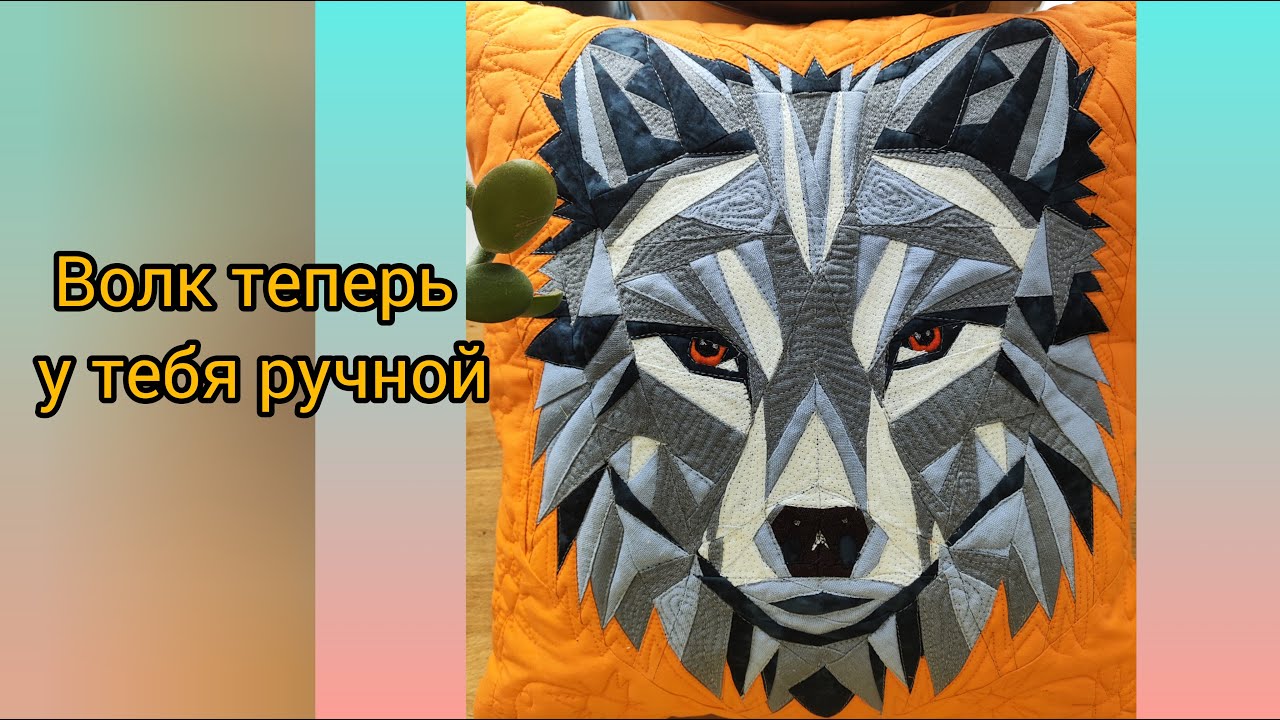 Посмотрите, какой красавчик этот Волк! Теперь он ручной в прямом и переносном смысле слова!