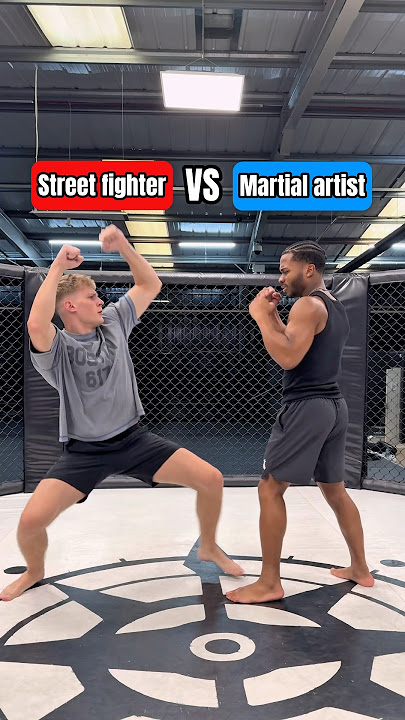 STREET fighter vs martial artist… who wins?