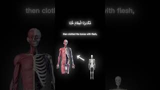Surah Al-Mu’minun 23:12–14 | Yasser Al-Dosari – “So Blessed is Allah, the Best of Creators”