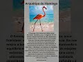 Ative este Arquétipo e colha os frutos.#arquetipos