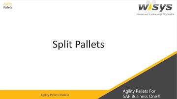 WiSys Agility Split Pallets Function for SAP Business One