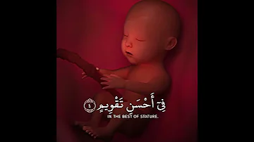 لقد خلقنا الإنسان في كبد 