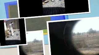 CSE 2011/12 afghanistan