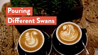 Latte Art - Pouring Different Types of Swans