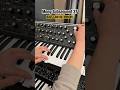 ✨Moog Subsequent 37 - Bass Melody/Chords #synth #music #moog #electronic #electronicmusic #bass