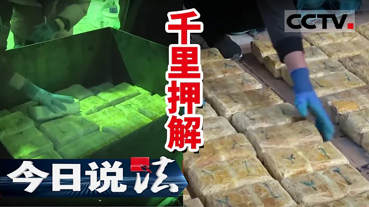《今日说法》云南查获超高纯度海洛因！警方首度公开现场验查毒品视频 20210626 | CCTV今日说法频道 - 天天要闻