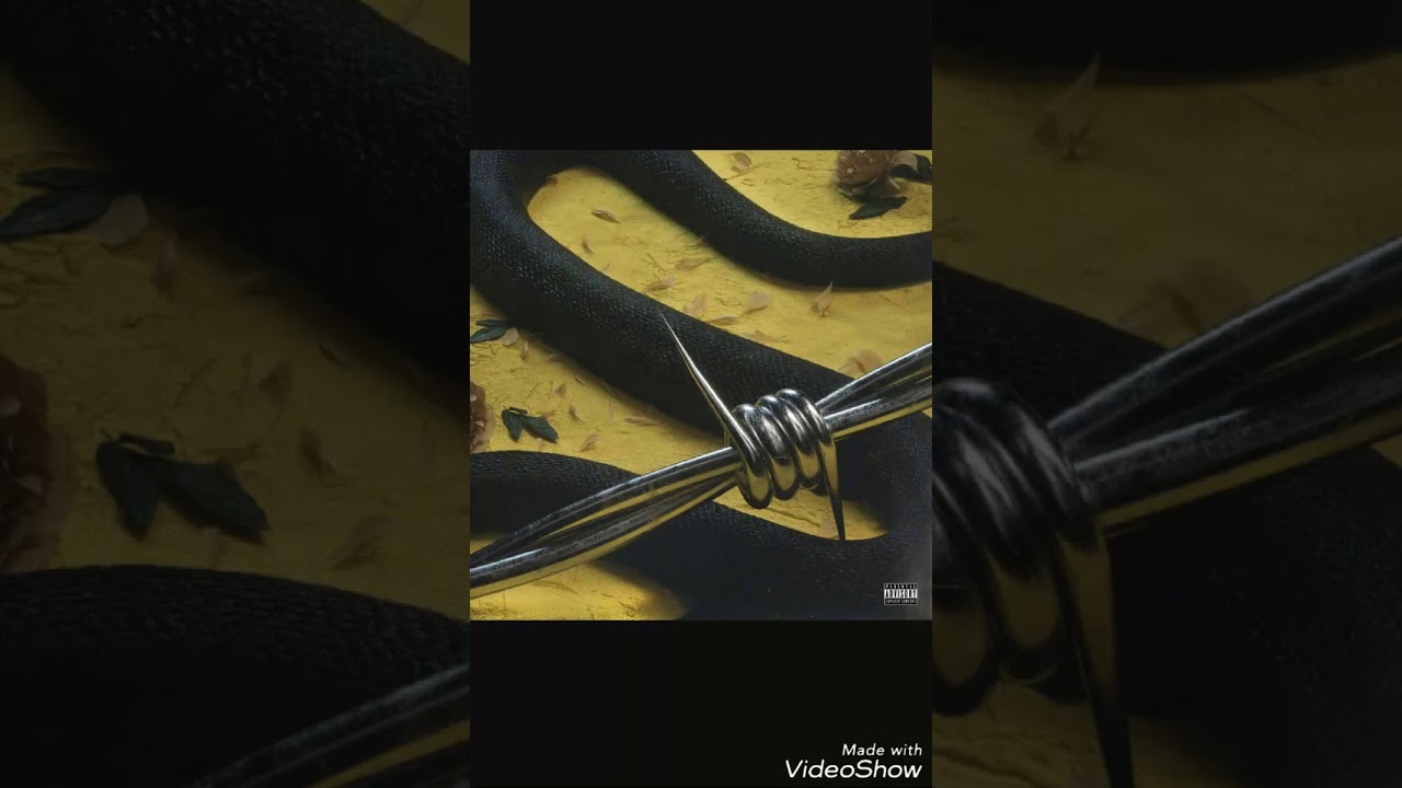 rockstar-post malone(no copyright intended)