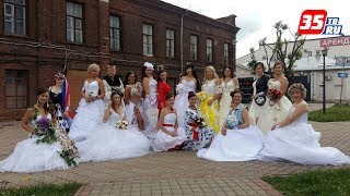 Белое платье, белая фата: череповецкие невесты устроили дефиле по улицам города Белое платье, белая фата: череповецкие невесты устроили дефиле по улицам города