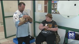 How to help Clear The Shelters Saturday
