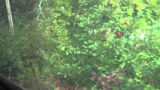 Michael Bisio Train To Concord MA