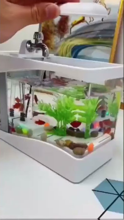Rekomendasi Aquarium Mini #short #shortvideo #videoshort #shopee