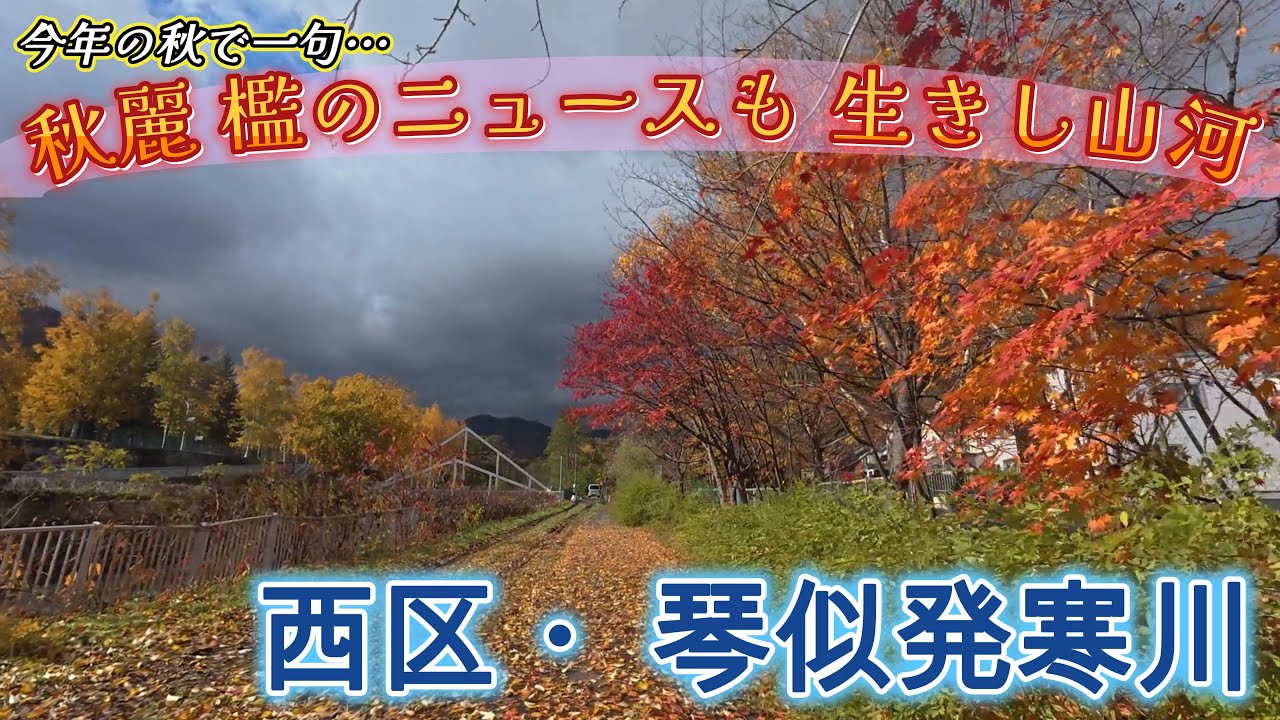 【4K散歩】秋麗…　西区・琴似発寒川