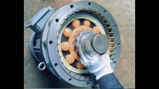 Celebrity Cycloidal speed reducer assembly Wealth