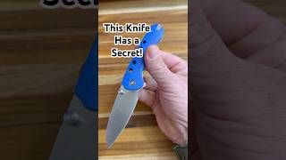This Remette EDC Knife Has a Secret...🐝 Remette RT Bee 👀