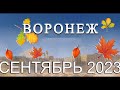 Новости Воронежа Сентябрь 2023