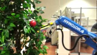 First demo of a robot picking apples in BGU lab Including crops research