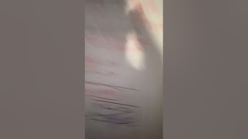 ENGR-120 Lab 3-MO2-MG