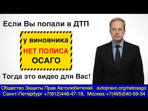 Что делать если у виновника ДТП нет полиса ОСАГО? Кто платит, если нет страховки?