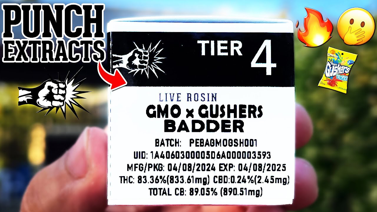 This GMO x GUSHER was SUPER POTENT! | Punch Extracts Tier 4 Live Rosin Badder Review!