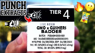 This GMO x GUSHER was SUPER POTENT! | Punch Extracts Tier 4 Live Rosin Badder Review!