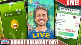 Shiny Bidoof Breakthrough Finale | Pokémon GO