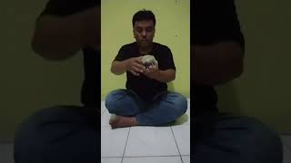 Berdirinya keris Nogo Rojo