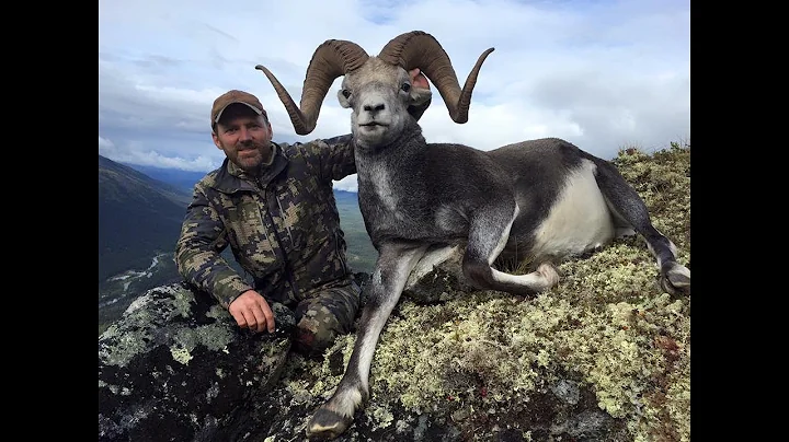 GIANT MULE DEER, STONE SHEEP, BLACKTAIL AND MORE! | L2H S08E12 "Brian Stephens Train"