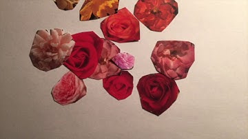 the insides - Shrink House [Official Video]