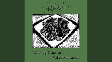 Without fear (Pathfinder #1)