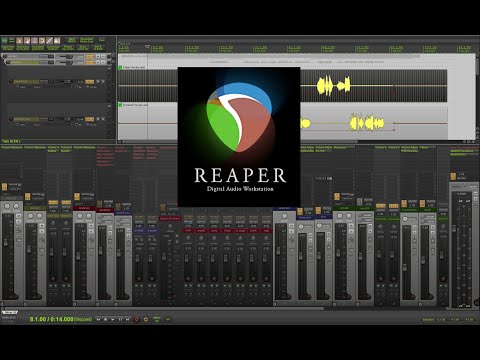 COPY:CUT ITEMS IN REAPER