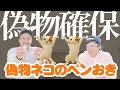 【偽物のネコのペンおき】ついに確保しました！！！