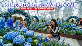 🌸 Singapore Blue Beauties : Gardens by the Bay Flower Dome 2026 Tour [8K ASMR]🇸🇬🌷🌼🌳