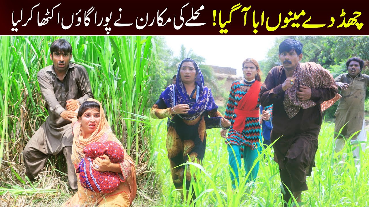 //Bhootna,Shoki, Bilo Cheena & Sanam Mahi New Funny Video By Rachnavi Tv2