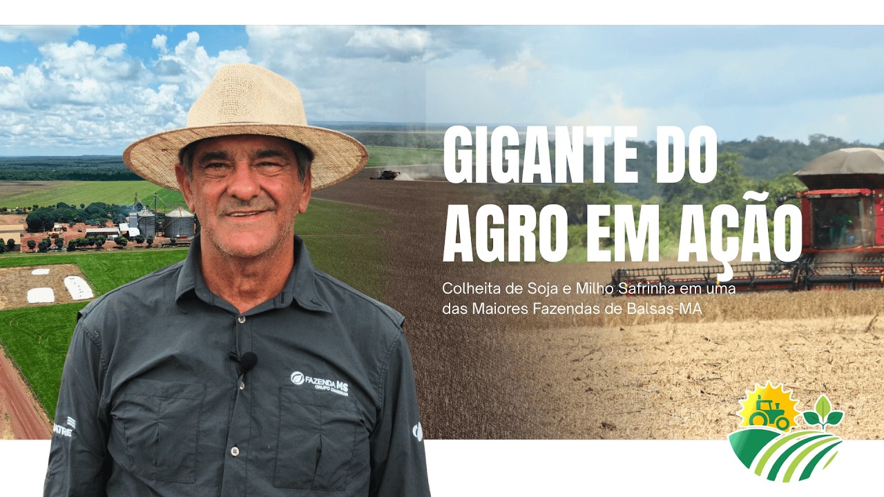 GIGANTE DO AGRO EM AÇÃO: Colheita de Soja e Milho Safrinha em uma das Maiores Fazendas de Balsas-MA