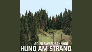 Video thumbnail of "Hund am Strand - Jungen Mädchen"