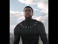"STAND UP YOU ARE A KING" | T'challa Black panther | Kendrick Lamar, SZA - All The Stars |EDIT|