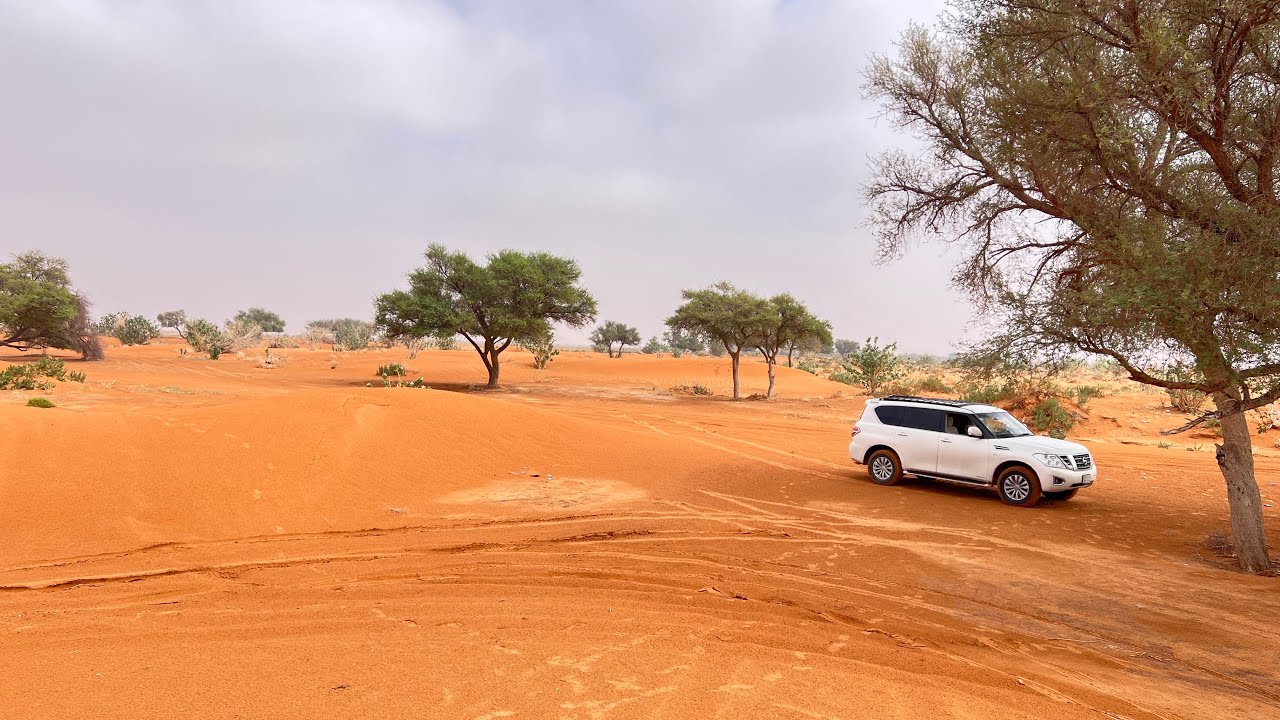 كشتة بعد امطار الخير